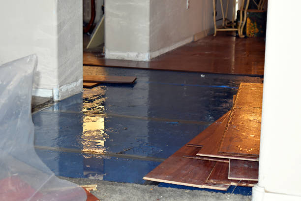 Professional Basement Flooding technician working in Trumbauersville, PA